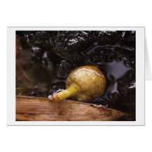 dark protector greeting card