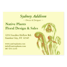 Darlingtonia californica, Carnivorous Plant Business Card Template