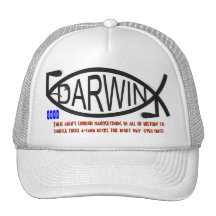 Darwin - Big Fish Story #1.1A Mesh Hat