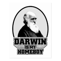 Darwin Is My Homeboy Postcards