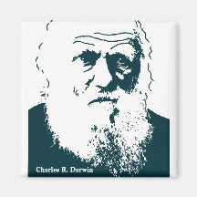 Darwin Picture. Magnet