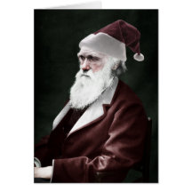 Darwin Xmas Card