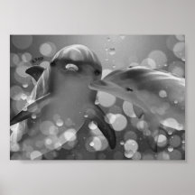 Dauphins á l´huile posters