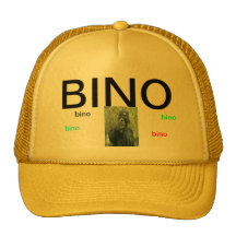 dave mesh hat