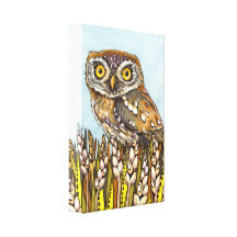Day is full of joy - pearl-spotted owl stretched canvas print