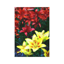 Daylilies by kim stretched canvas prints
