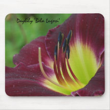 Daylily 'Bela Lugosi' Mouse Mat