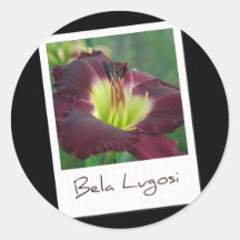 Daylily 'Bela Lugosi' Sticker