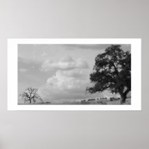 Dead and Alive Print