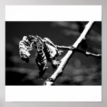 Dead Print