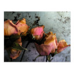 Dead Roses Watercolor Postcards