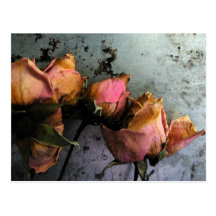 Dead Roses Watercolor Postcards
