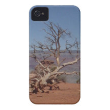 Dead Tree at The Grand Canyon iPhone 4 Case-Mate Cases