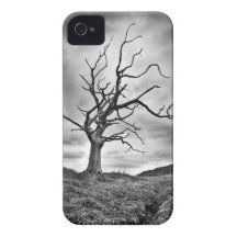Dead Tree iPhone 4 Cases