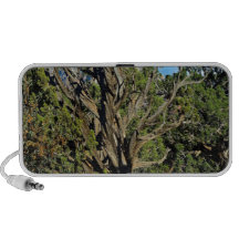 dead wood iPhone speakers