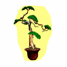 Deadwood Bonsai Shari Tall Photo Sculpture