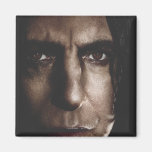 Deathly Hallows - Snape Magnets