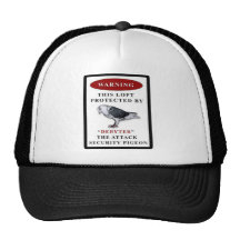 DEBYTER LOFT SECURITY PIGEON MESH HAT