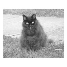December 2013 - B&W Photo