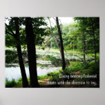 Decide to Try ~ Forest Stream Photo Print
