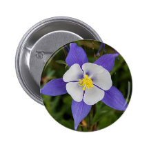 Deep Blue Pins