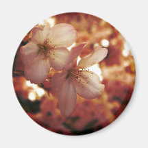 Deep Pink Fridge Magnet
