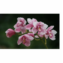 deep pink orchid photo sculpture small