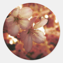 Deep Pink Round Stickers