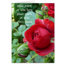 Deep red rose bud card