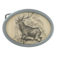 Deer (1849) oval belt buckles