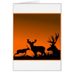 Deer at Sunset Greeting Cards