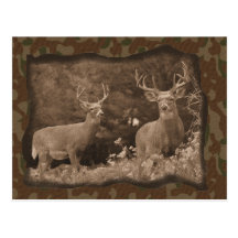 Deer Camo Postcard
