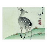 Deer in Autumn Ukiyoe Postcard
