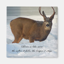 Deer in Snow Magnet