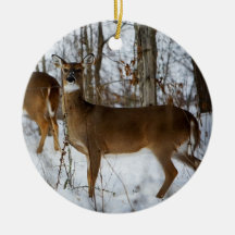Deer in the Snow - Great Smoky Mt. National Park Ornaments