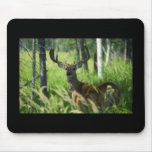 Deer in Woodland Mouse Pads