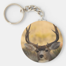deer key chain