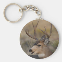 deer keychains