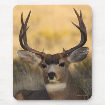 deer mouse mat