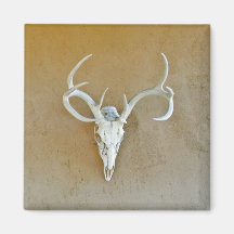 Deer Skull Magnet