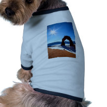 Delicate arch doggie tee