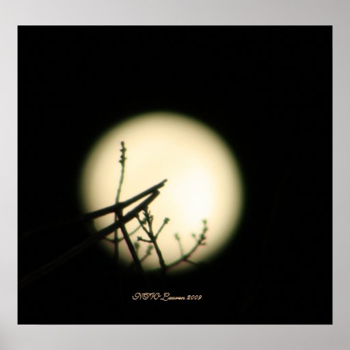 Delicate Balance Moon Posters