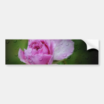 Delicate Bumper Sticker