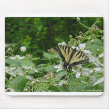 Delicate Peace, K. Dorman 2006 Mouse Mats