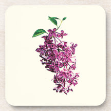 Delicate Pink Lilacs Drink Coasters