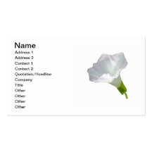 Delicate White Wildflower Business Card