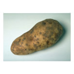 Delicious Potato Personalized Invite