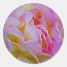 Delicious rose and meaning sticker
