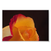 Delight photographic Print