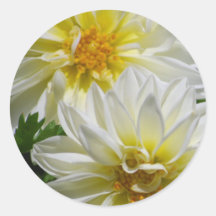 Delightful Dahlias Sticker